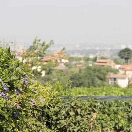 In Santa Caterina Apartment Frascati